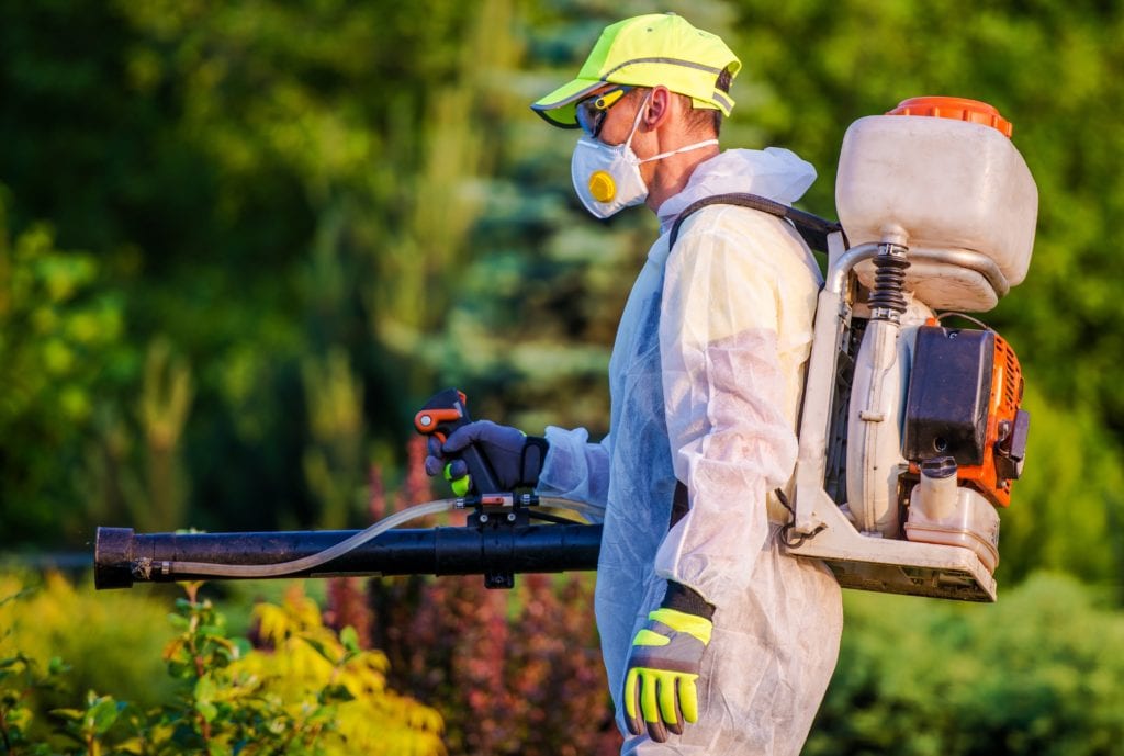 Professional Pest Control Services in Tahoe City