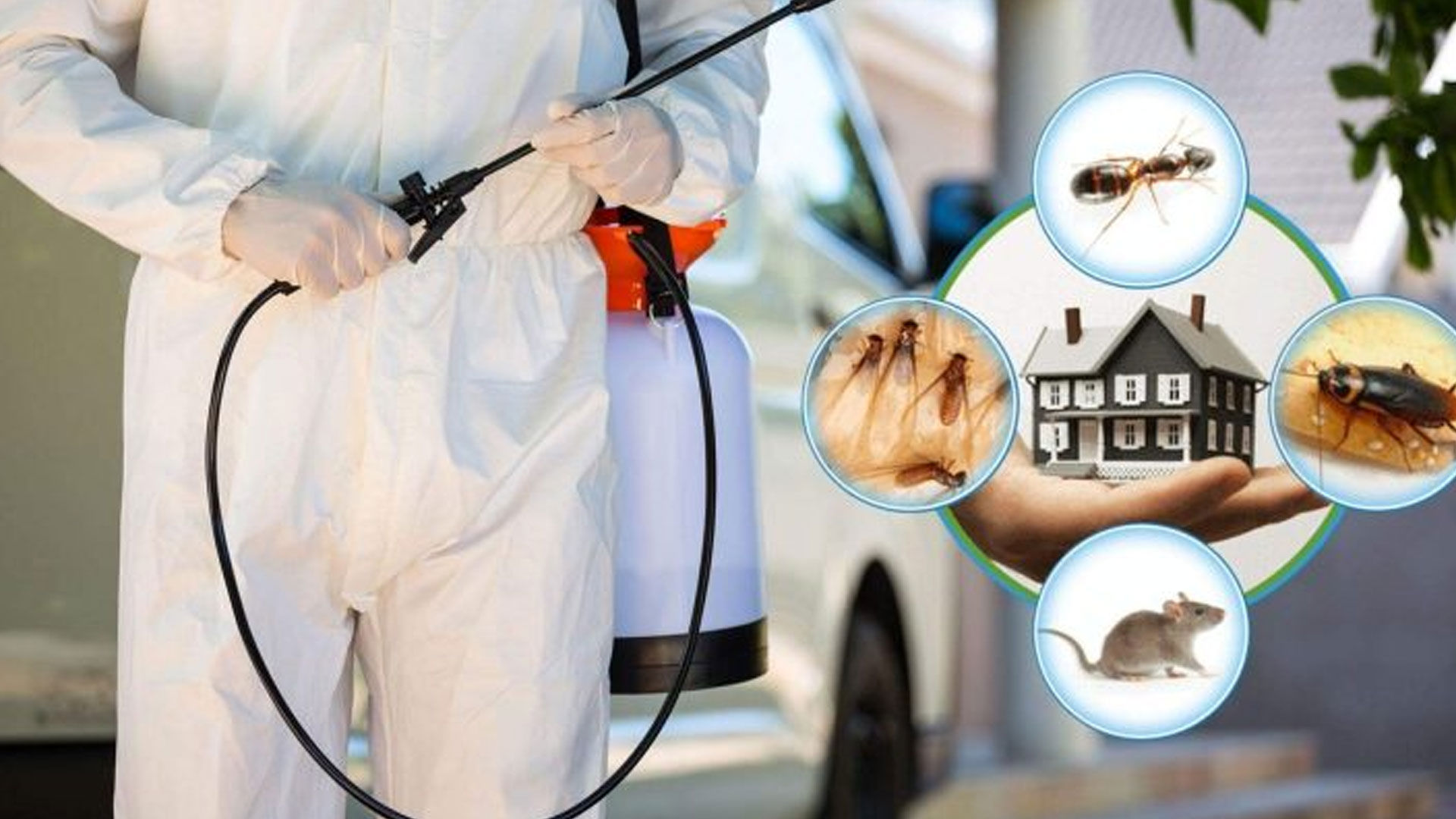 Residential Pest Control