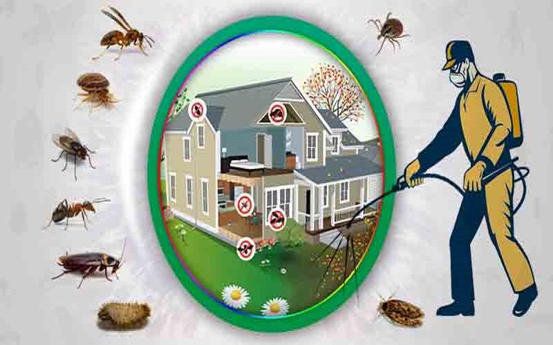 Commercial Pest Control