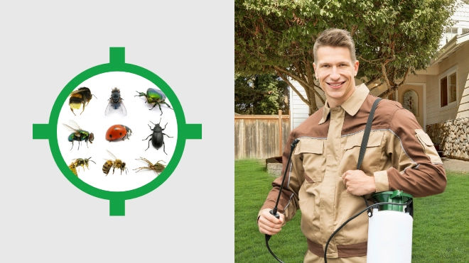Local Tahoe City Pest Control Experts